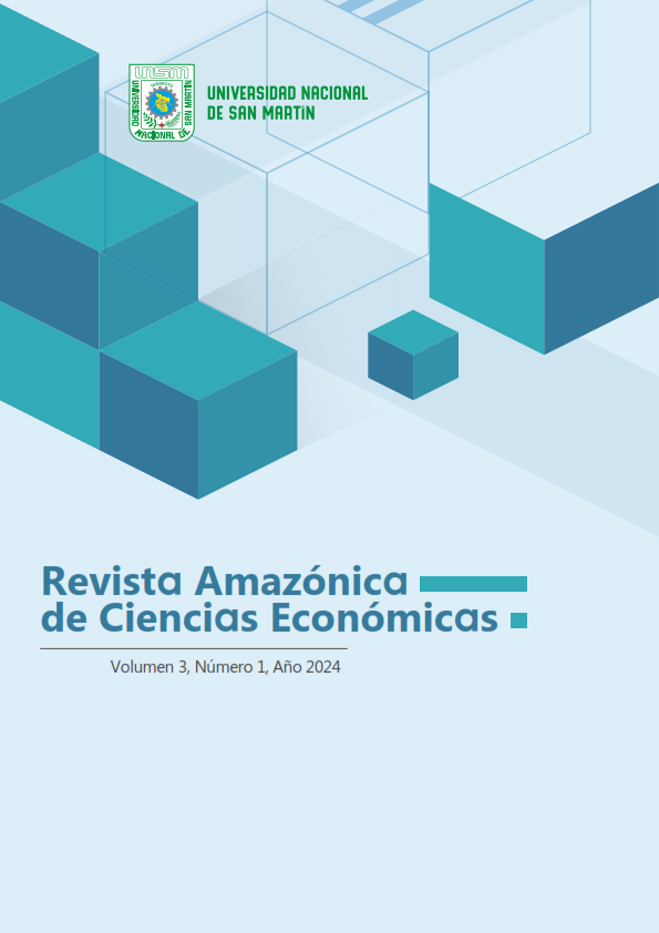 					Ver Vol. 3 Núm. 1 (2024): Revista Amazónica de Ciencias Económicas
				